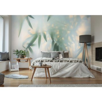 Обои виниловые на флизелине Design Studio 3D (Дизайн Студио 3Д) За стеклом Листья бамбука в плотном тумане Канвас (TG-011)