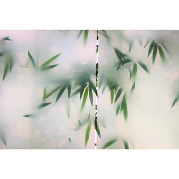 Обои виниловые на флизелине Design Studio 3D (Дизайн Студио 3Д) За стеклом Тропические листья за стеклом Акварель (TG-014)