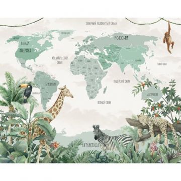 Обои виниловые на флизелине Design Studio 3D (Дизайн Студио 3Д) Карты Зеленая карта между тропиков Бесшовная Фреска Ultra (CM-006)