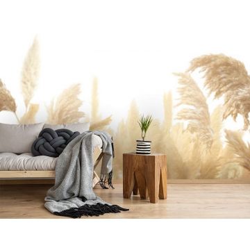 Обои виниловые на флизелине Design Studio 3D (Дизайн Студио 3Д) Нежность Поле колосьев Бесшовная Фреска Classic (NJ-016)