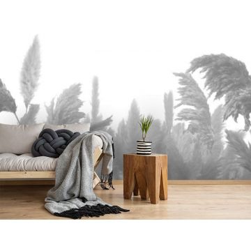 Обои виниловые на флизелине Design Studio 3D (Дизайн Студио 3Д) Нежность Поле колосьев в серых тонах Песок (NJ-019)