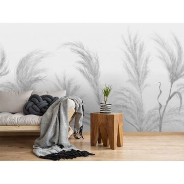 Обои виниловые на флизелине Design Studio 3D (Дизайн Студио 3Д) Нежность Колоски в серых тонах Песок (NJ-024)