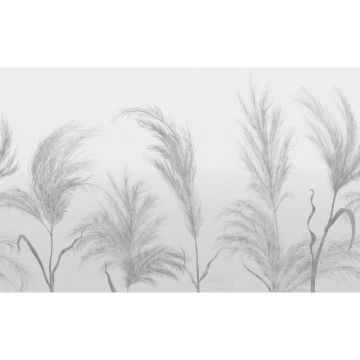 Обои виниловые на флизелине Design Studio 3D (Дизайн Студио 3Д) Нежность Колоски в серых тонах Бесшовная Фреска Ultra (NJ-024)