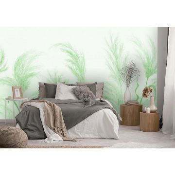 Обои виниловые на флизелине Design Studio 3D (Дизайн Студио 3Д) Нежность Колоски в зеленых тонах Канвас (NJ-025)