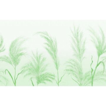 Обои виниловые на флизелине Design Studio 3D (Дизайн Студио 3Д) Нежность Колоски в зеленых тонах Акварель (NJ-025)
