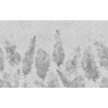 Обои виниловые на флизелине Design Studio 3D (Дизайн Студио 3Д) Нежность Колосья на текстурном фоне в серых тонах Бесшовная Фреска Гранд (NJ-044)