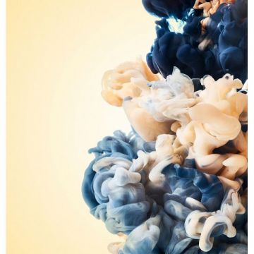 Обои виниловые на флизелине Design Studio 3D (Дизайн Студио 3Д) Флюидная дымка Дымка в пастельных тонах Канвас (FLD-011)