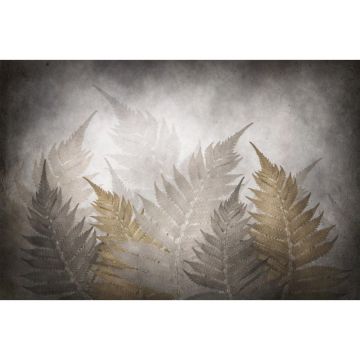 Обои виниловые на флизелине Design Studio 3D (Дизайн Студио 3Д) Leaves Листья папоротника на бетоне Песок (LVS-006)
