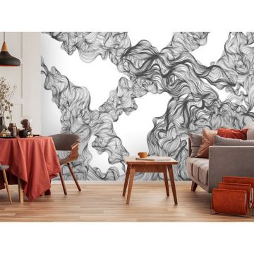 Обои виниловые на флизелине Design Studio 3D (Дизайн Студио 3Д) Line Style Роскошные черно-белые линии Бесшовная Фреска Ultra (LST-005)