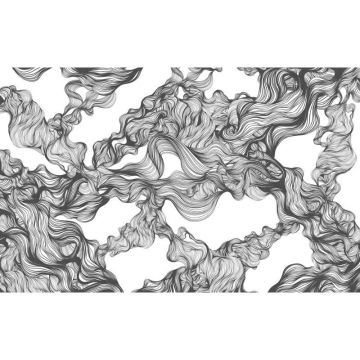 Обои виниловые на флизелине Design Studio 3D (Дизайн Студио 3Д) Line Style Черно-белый переплет из линий Бесшовная Фреска Ultra (LST-010)