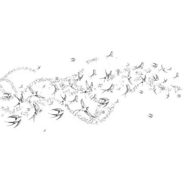 Обои виниловые на флизелине Design Studio 3D (Дизайн Студио 3Д) Line Style Грациозные черно-белые ласточки Канвас (LST-050)