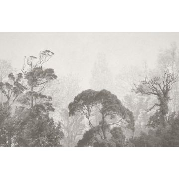 Обои виниловые на флизелине Design Studio 3D (Дизайн Студио 3Д) Vintage Винтажный лес сепия Бесшовная Фреска Classic (VG-010)