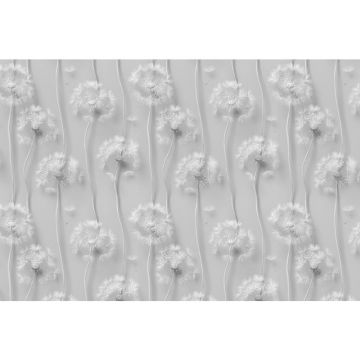 Обои виниловые на флизелине Design Studio 3D (Дизайн Студио 3Д) Volume Одуванчики 3d Канвас (VL-014)