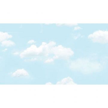 Обои виниловые на бумажной основе Shinhan Natural 2020 15,6х1,06 м (88421-1)