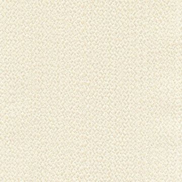 Обои виниловые на бумажной основе Shinhan Focus 15,6х1,06 м (88500-1)