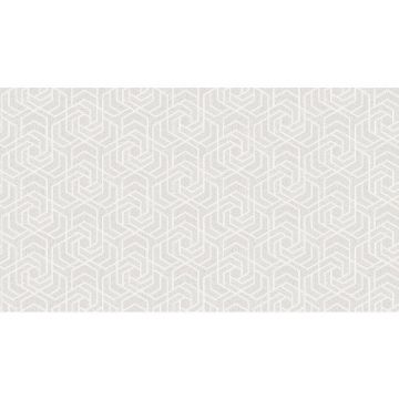 Обои виниловые на бумажной основе Gaenari Wave 15,5х1,06 м (81226-1)