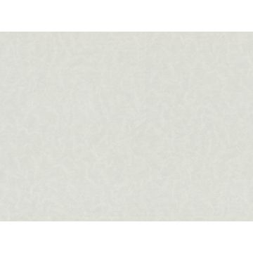 Обои виниловые Fipar Bosco viaggio italiano 10,05х1,06 м (R23043)