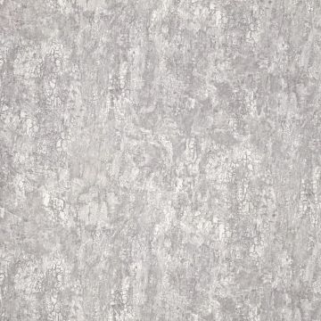 Обои виниловые на Флизелине Fipar Modelli Magici 10.05 х 1.06 м (R11774)