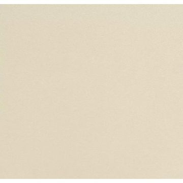 Обои виниловые Andrea Rossi Spectrum Plus 10х1,06 м (54355-5)