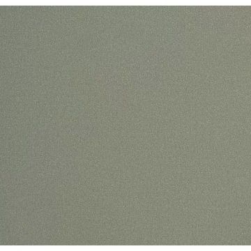 Обои виниловые Andrea Rossi Spectrum Plus 10х1,06 м (54355-32)