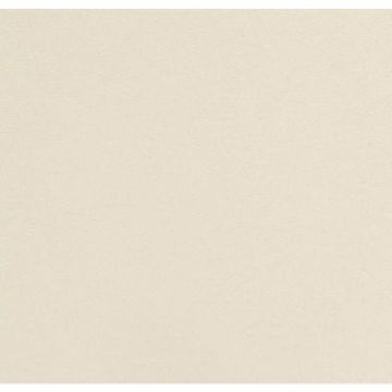 Обои виниловые Andrea Rossi (Андрэа Росси) Spectrum Plus 10х1,06 м (54355-3)