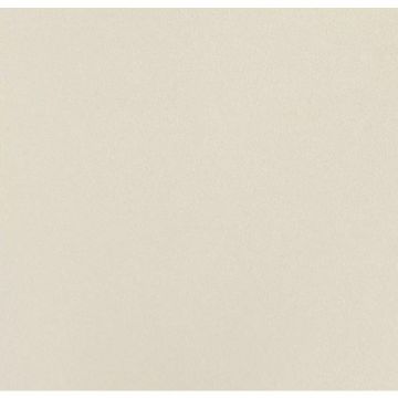 Обои виниловые Andrea Rossi Spectrum Plus 10х1,06 м (54355-26)