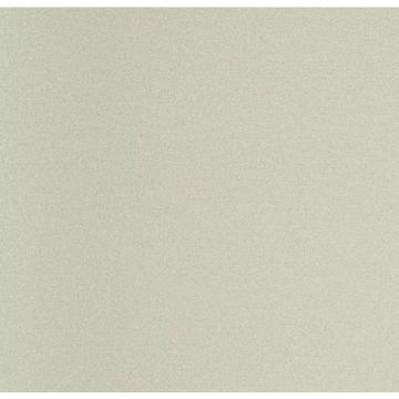 Обои виниловые Andrea Rossi Spectrum Plus 10х1,06 м (54355-25)