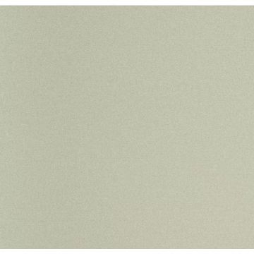Обои виниловые Andrea Rossi Spectrum Plus 10х1,06 м (54355-24)