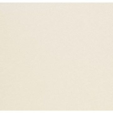 Обои виниловые Andrea Rossi Spectrum Plus 10х1,06 м (54355-1)