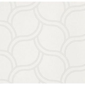 Обои виниловые Andrea Rossi Spectrum Plus 10х1,06 м (54352-2)