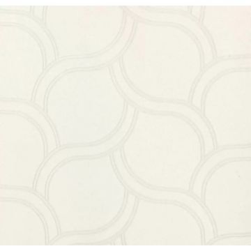 Обои виниловые Andrea Rossi Spectrum Plus 10х1,06 м (54352-1)