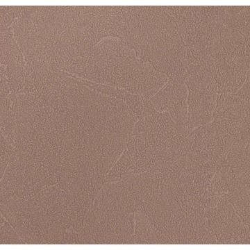 Обои виниловые Andrea Rossi Spectrum Plus 10х1,06 м (54351-7)