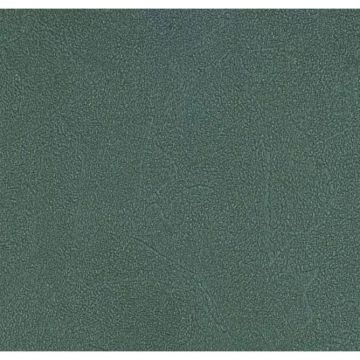 Обои виниловые Andrea Rossi Spectrum Plus 10х1,06 м (54351-21)