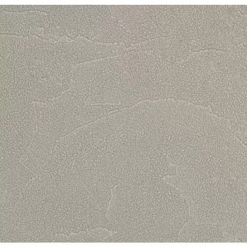 Обои виниловые Andrea Rossi Spectrum Plus 10х1,06 м (54351-19)