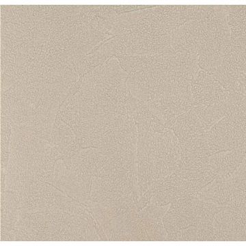 Обои виниловые Andrea Rossi Spectrum Plus 10х1,06 м (54351-18)