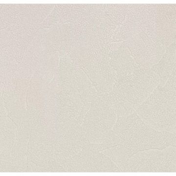 Обои виниловые Andrea Rossi Spectrum Plus 10х1,06 м (54351-17)