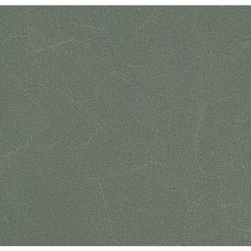 Обои виниловые Andrea Rossi Spectrum Plus 10х1,06 м (54351-14)