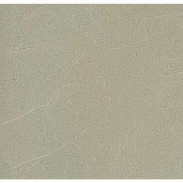 Обои виниловые Andrea Rossi Spectrum Plus 10х1,06 м (54351-13)