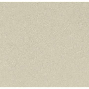 Обои виниловые Andrea Rossi Spectrum Plus 10х1,06 м (54351-12)