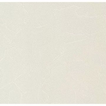 Обои виниловые Andrea Rossi Spectrum Plus 10х1,06 м (54351-10)