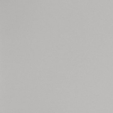 Обои виниловые Andrea Rossi Spectrum Pro 10х1,06 м (54383-2)