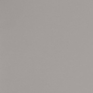 Обои виниловые Andrea Rossi Spectrum Pro 10х1,06 м (54383-6)