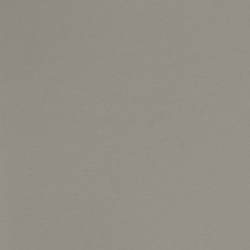 Обои виниловые Andrea Rossi Spectrum Pro 10х1,06 м (54385-3)