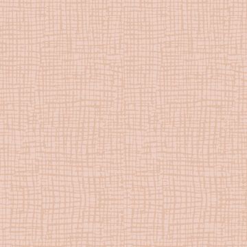 Обои виниловые Alessandro Allori (Алесандро Алори) Dolce Vita 10,05х0,52 м (2408-7RDV)