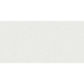 Обои виниловые Alessandro Allori Breeze 10,05х1,06 м (RDT2210-1)