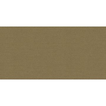 Обои виниловые Alessandro Allori Breeze 10,05х1,06 м (RDT2210-6)
