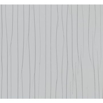 Обои виниловые Marburg Crush Motion 10,05х0,7 м (63401)