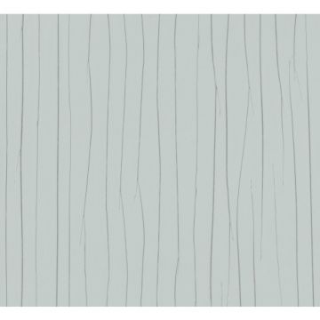 Обои виниловые Marburg Crush Motion 10,05х0,7 м (63406)