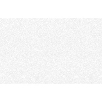 Обои виниловые на флизелине Marburg (Марбург) Patent Decor Laser 10,05x0,53 м (9134)