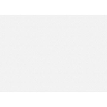 Обои виниловые на флизелине Marburg (Марбург) Patent Decor Laser 25,00x1,06 м (9565)